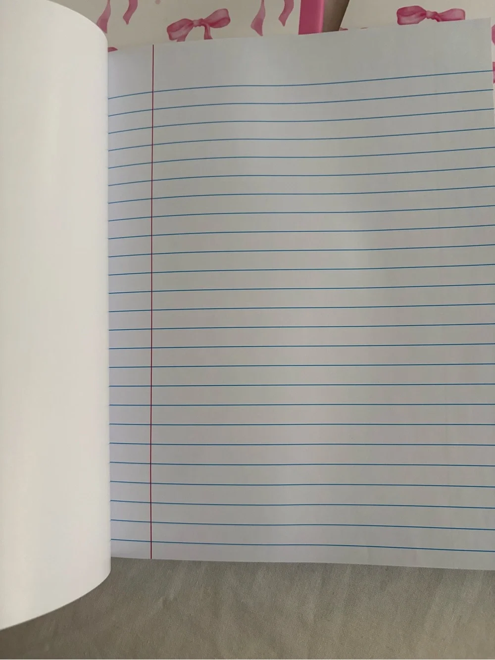 3 standard composition notebook with pink-and-white gingham & Bows New